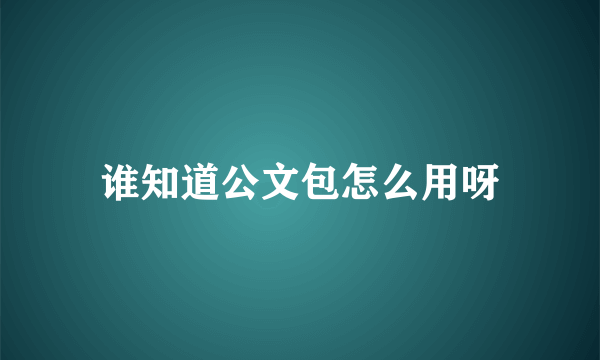 谁知道公文包怎么用呀