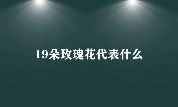 19朵玫瑰花代表什么