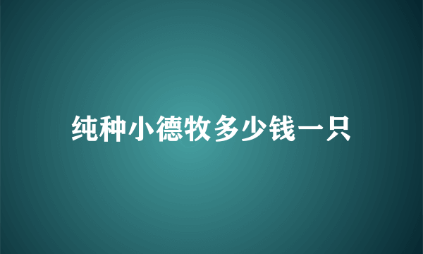 纯种小德牧多少钱一只