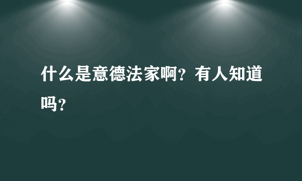 什么是意德法家啊？有人知道吗？