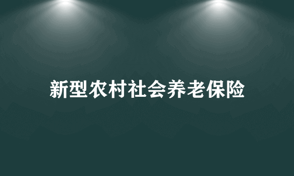 新型农村社会养老保险