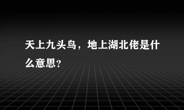 天上九头鸟，地上湖北佬是什么意思？