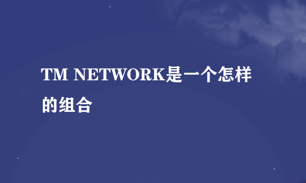 TM NETWORK是一个怎样的组合