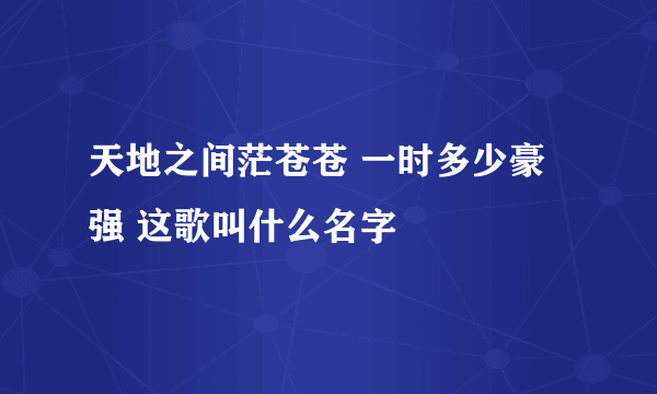 天地之间茫苍苍 一时多少豪强 这歌叫什么名字