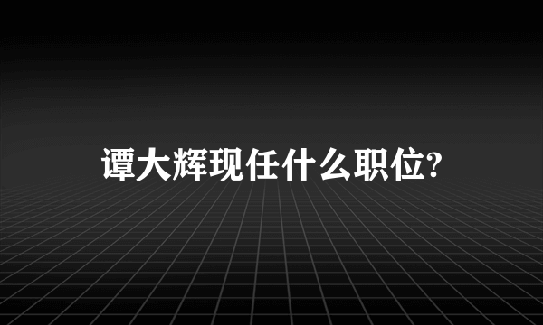 谭大辉现任什么职位?