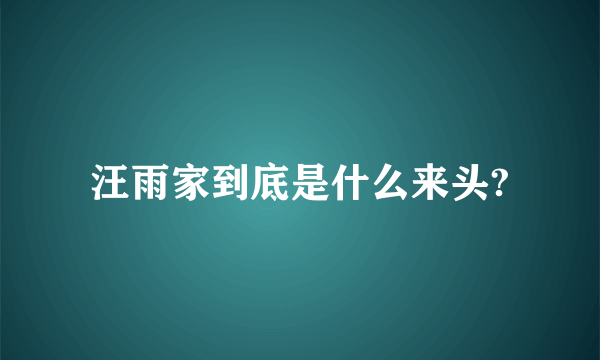 汪雨家到底是什么来头?