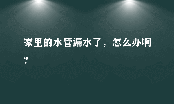 家里的水管漏水了，怎么办啊？