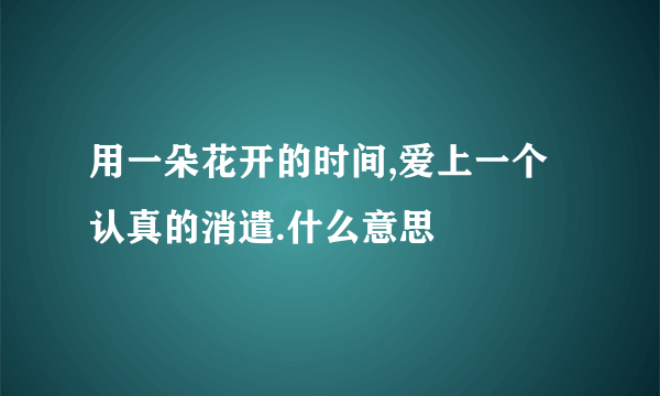 用一朵花开的时间,爱上一个认真的消遣.什么意思