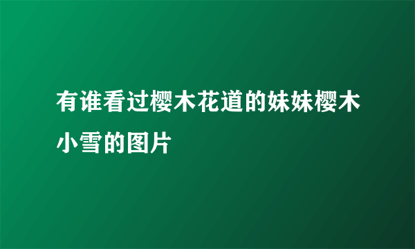 有谁看过樱木花道的妹妹樱木小雪的图片