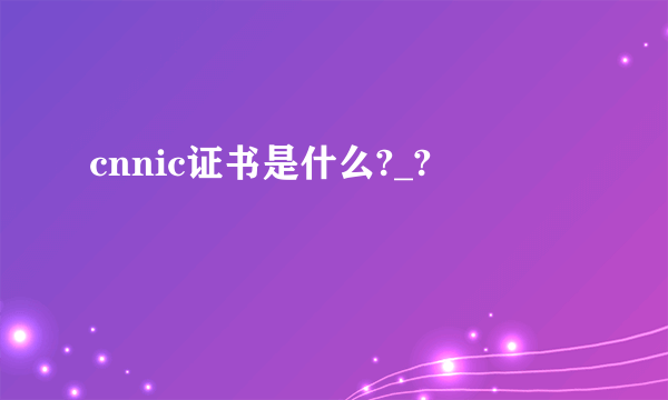 cnnic证书是什么?_?