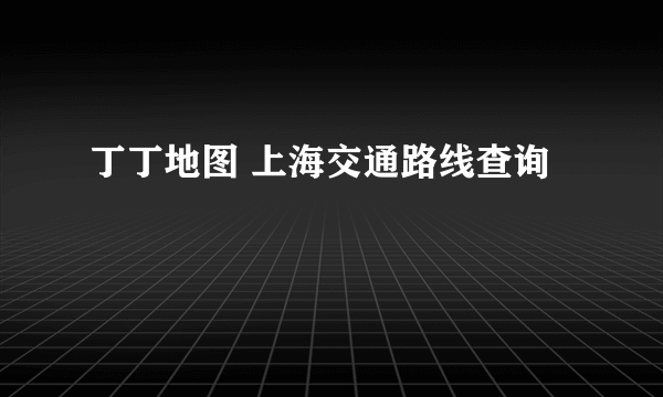 丁丁地图 上海交通路线查询