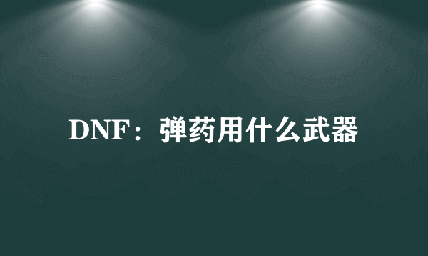 DNF：弹药用什么武器