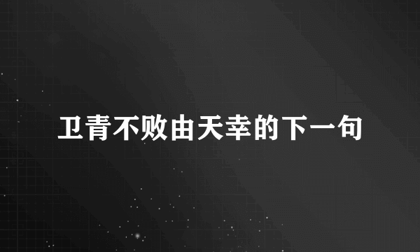 卫青不败由天幸的下一句