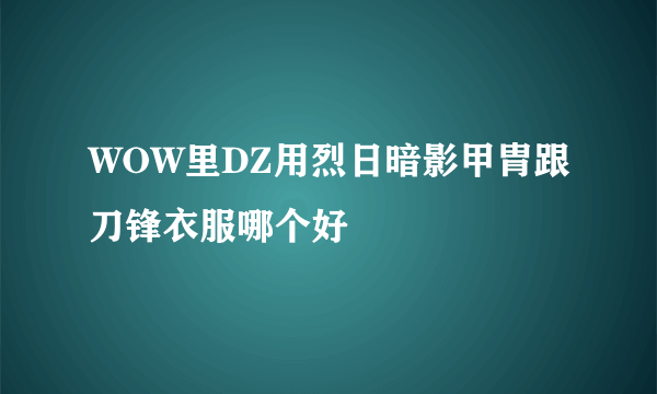 WOW里DZ用烈日暗影甲胄跟刀锋衣服哪个好