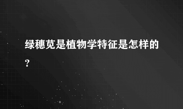 绿穗苋是植物学特征是怎样的？