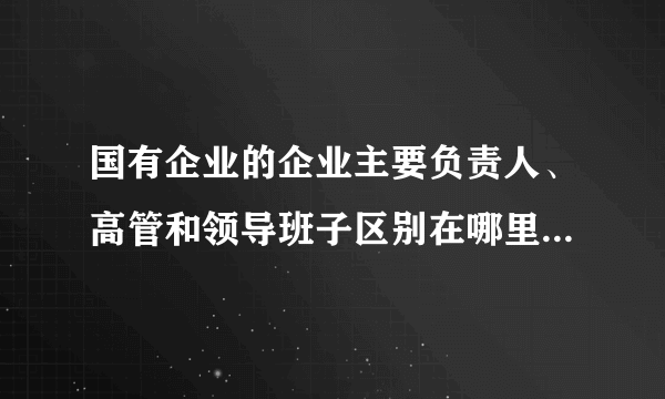 国有企业的企业主要负责人、高管和领导班子区别在哪里，范围都包括什么？