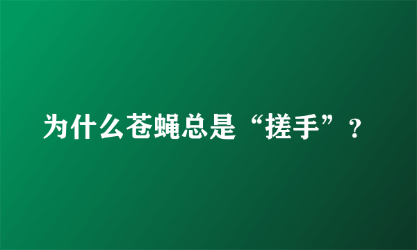 为什么苍蝇总是“搓手”？