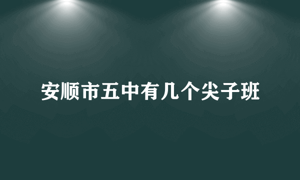 安顺市五中有几个尖子班