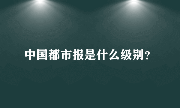 中国都市报是什么级别？