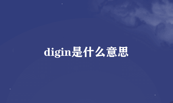 digin是什么意思