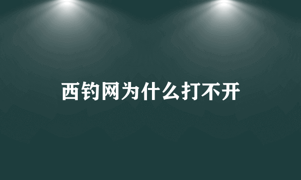 西钓网为什么打不开