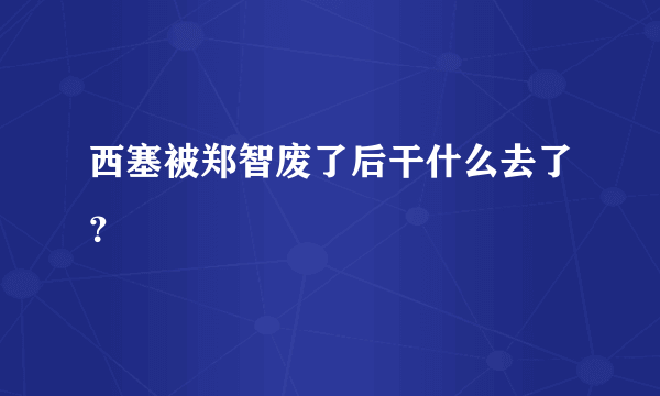 西塞被郑智废了后干什么去了？