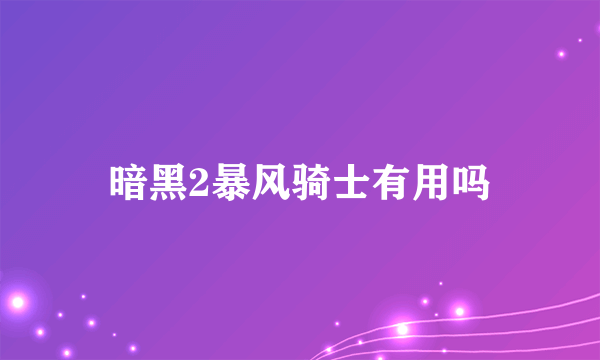 暗黑2暴风骑士有用吗