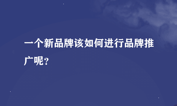 一个新品牌该如何进行品牌推广呢？