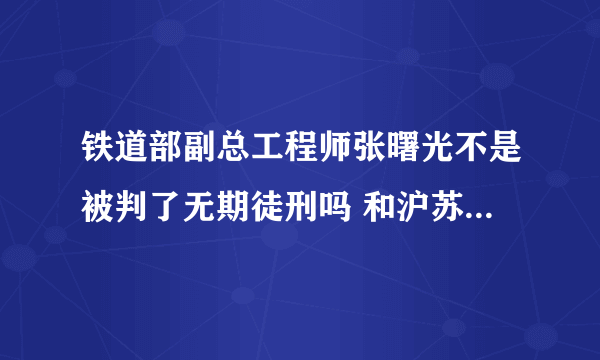 铁道部副总工程师张曙光不是被判了无期徒刑吗 和沪苏湖铁路开工仪式上的嘉宾张署光是不是同一个人？