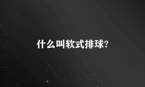 什么叫软式排球?