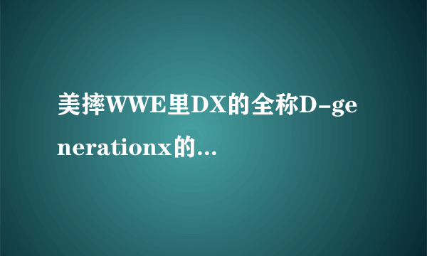 美摔WWE里DX的全称D-generationx的意思是什么啊?