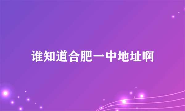 谁知道合肥一中地址啊