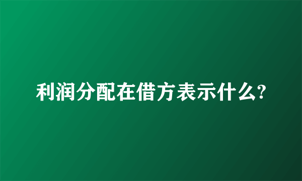 利润分配在借方表示什么?