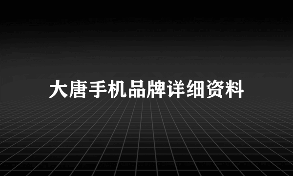 大唐手机品牌详细资料