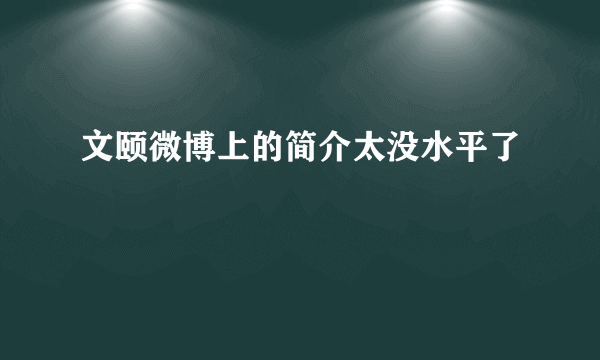 文颐微博上的简介太没水平了