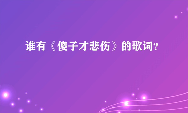 谁有《傻子才悲伤》的歌词？