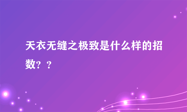 天衣无缝之极致是什么样的招数？？