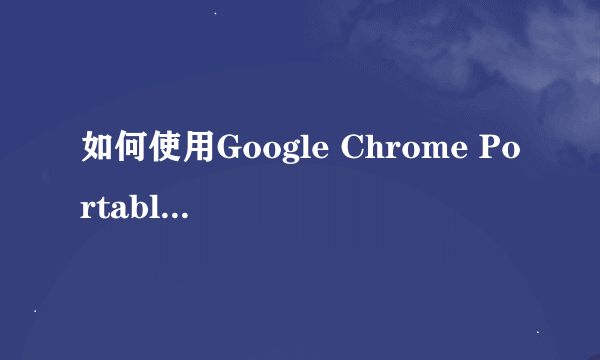 如何使用Google Chrome Portable（便携版）