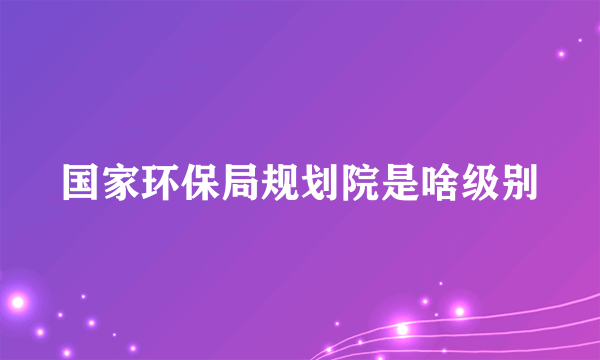 国家环保局规划院是啥级别