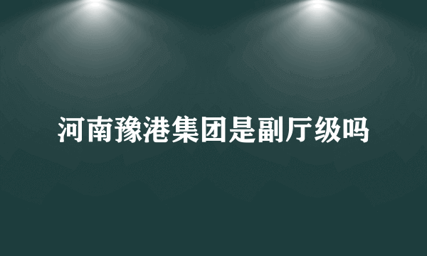 河南豫港集团是副厅级吗