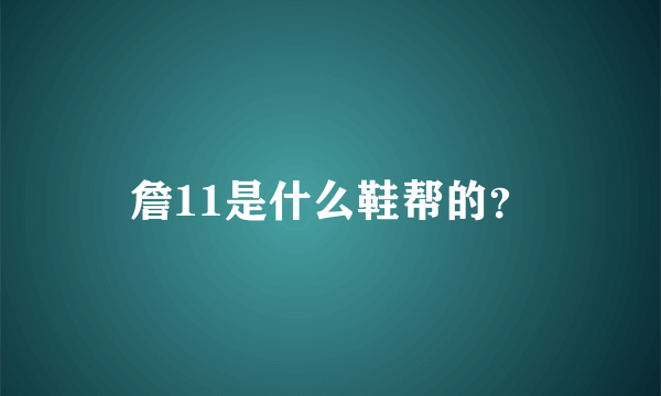 詹11是什么鞋帮的？