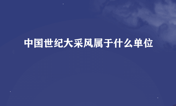 中国世纪大采风属于什么单位