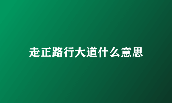 走正路行大道什么意思