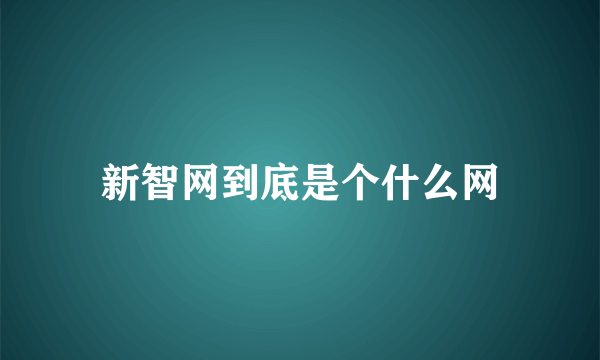 新智网到底是个什么网