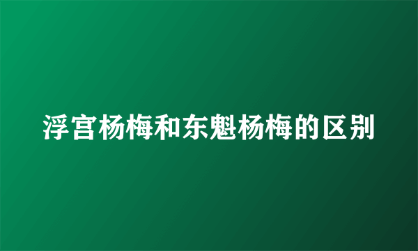 浮宫杨梅和东魁杨梅的区别