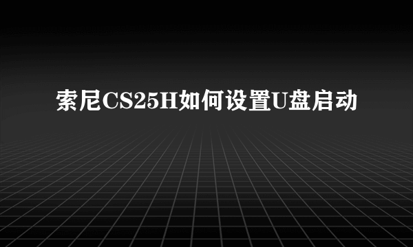 索尼CS25H如何设置U盘启动