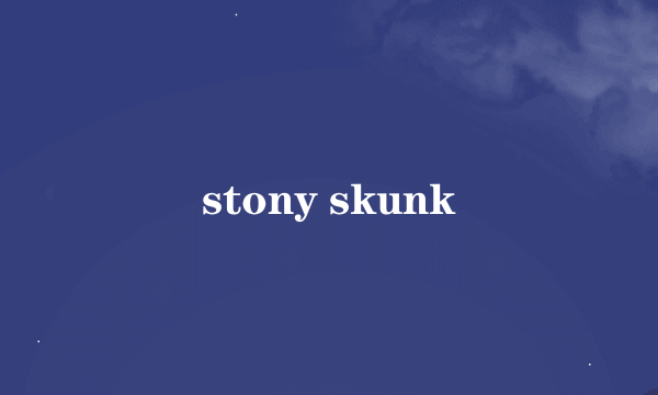 stony skunk