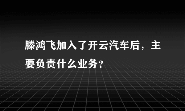 滕鸿飞加入了开云汽车后，主要负责什么业务？