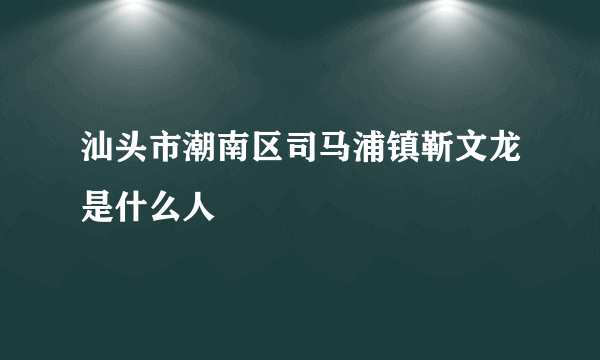 汕头市潮南区司马浦镇靳文龙是什么人