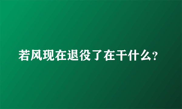 若风现在退役了在干什么？